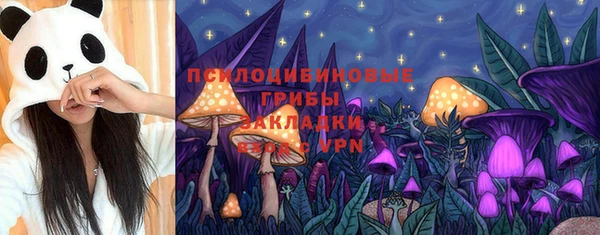 гашик Армянск