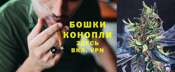 spice Арсеньев
